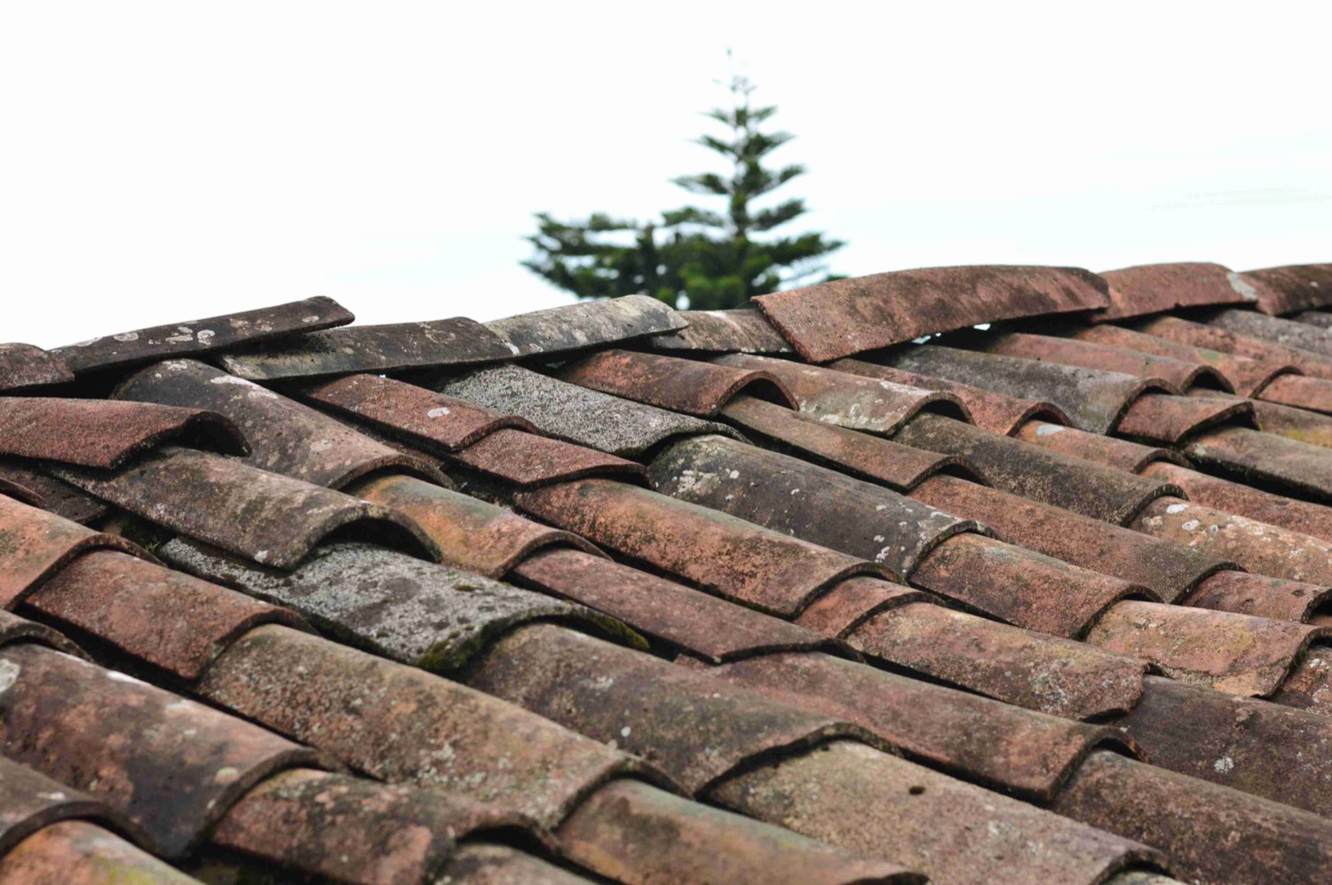 Close-up of a clay tile roof installed by Deltona Smart Roofing